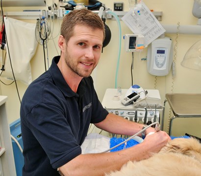 Mads Bendtsen, dyrlæge og klinikleder på Skovshoved Dyreklinik