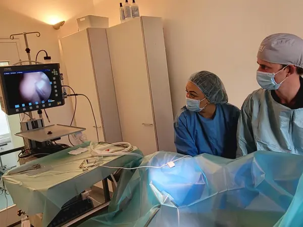 Der ses 2 dyrlæger der er igang med at udføre laparoskopisk kirurgi, Biopsi, Laparoskopisk sterilisation